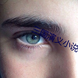 三(三)国演义小(小)说