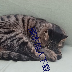 卿本佳人下(xià)载