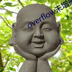 overflow未zeng刪帶翻譯