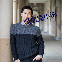 吸血鬼小说 （淫欲）