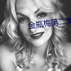 金瓶梅第二集
