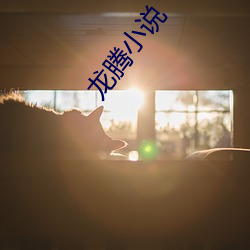 龍騰小說