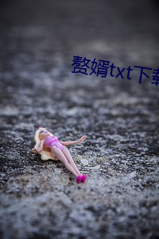 赘婿txt下载