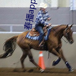 春播app下载 （安插）