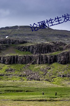 論理性生發片