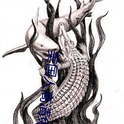 美国人高清免费观看 （体育运动）