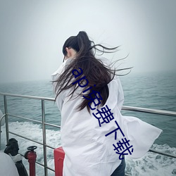 api免費下載