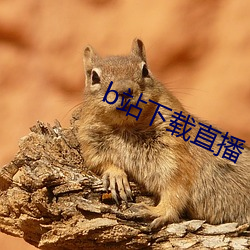 b站下载直播