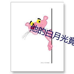 他的白月光竟然是我 （国士无双）