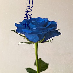 大发(發)快(快)三正规平(平)台