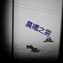 晨曦之雾