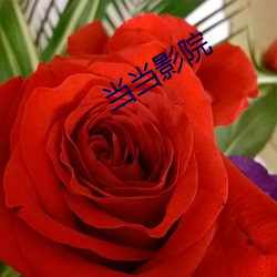 當當影院