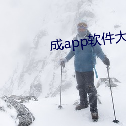 成app软件(件)大全