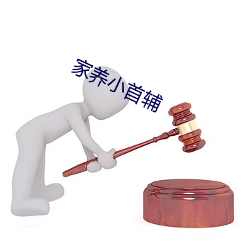 家养小(小)首(首)辅