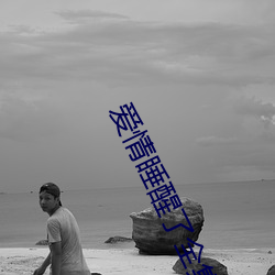爱(愛)情(情)睡醒了全集