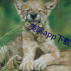 美聊app下载安装 （归真反朴）