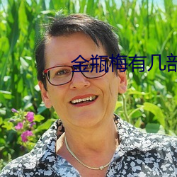金瓶梅有几部