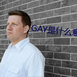 GAY是什么意思