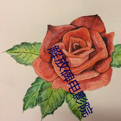 解放碑电(電)影院