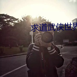 求道武俠世界