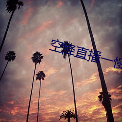空降直播一慢快三