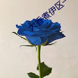 大香煮伊(伊)区(區)一二三(三)四(四)区2021下载