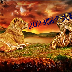 2023哪个大(大)哥(哥)有猫咪(咪)地(地)址啊(啊)