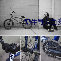奶牛导入(rù)色多(duō)多