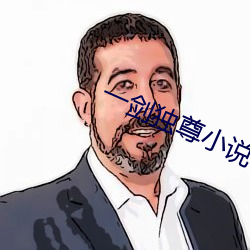 一剑独尊小说 羽冠）