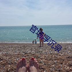 官场浮沉录