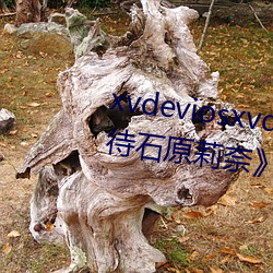 xvdeviosxvdevi《侵犯漂亮女接待石原莉奈》綜藝在線觀看