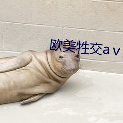 欧美牲交aⅴ人妖