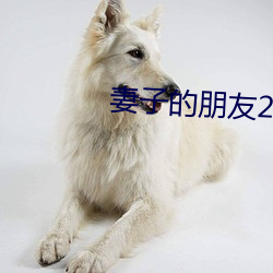 妻子的朋友2