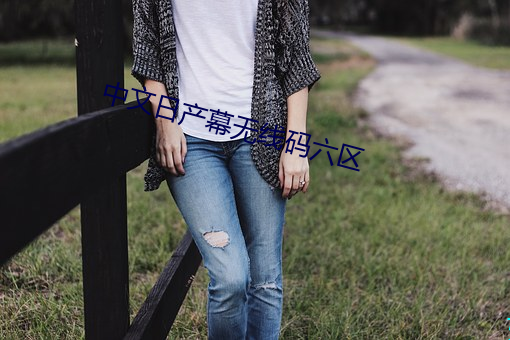 中文(wn)日(r)产幕无线(xiàn)码六区