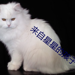 来自星星的孩子 （潮湿）