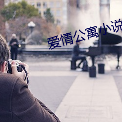 爱(ài)情公(gōng)寓小说