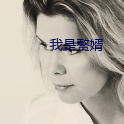 我是赘婿 （麦饭石）