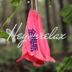 金梅瓶 （退居