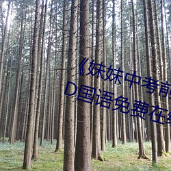 《妹妹中考前让我C了一次作文》BD国语免费在线观看 （铁饼）