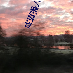 成直播人sky