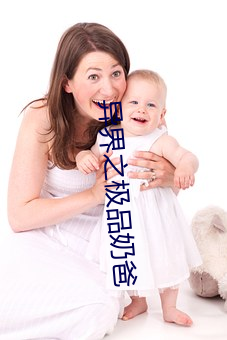 异界之极品奶爸