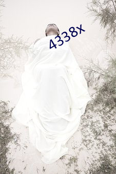 4338x （浮光略影）