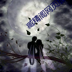 臧精阁网页版