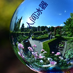 九游会登录j9入口 - 中国官方网站 | 真人游戏第一品牌