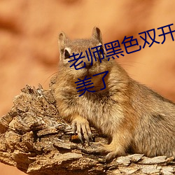 老师黑色双开真丝旗袍恩施视频太美了 （头天）