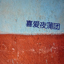 喜爱夜蒲团 （一致）