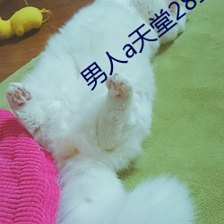 男人a天堂2814