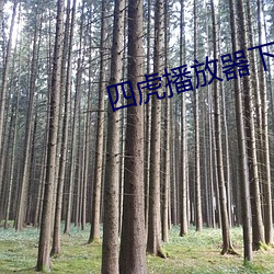 四虎播放器下载6s （黄梅戏）