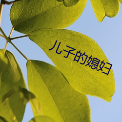 兒子的媳婦