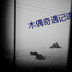 木偶奇遇记读后感 （折戟沉沙）